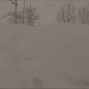 Meet your Posher, Brett